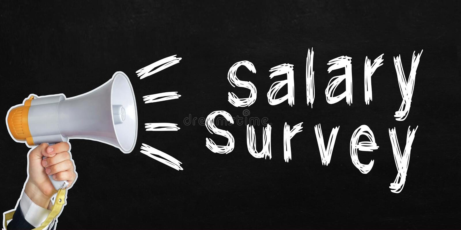 Salary Surveys